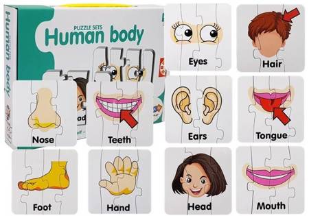 Educational Puzzle Body Parts Jigsaw Puzzle 10 English Connections