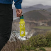 27OZ, GREEN APPLE KANTEEN CLASSIC LTD. LEAVES, 800ML