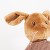 Przytulanka muzyczna Królik Lenny | Egmont Toys®